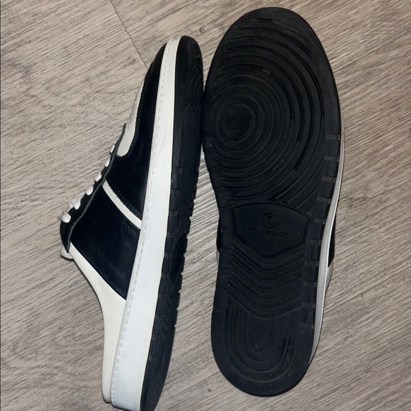 Collegium - Picture 6 of 12